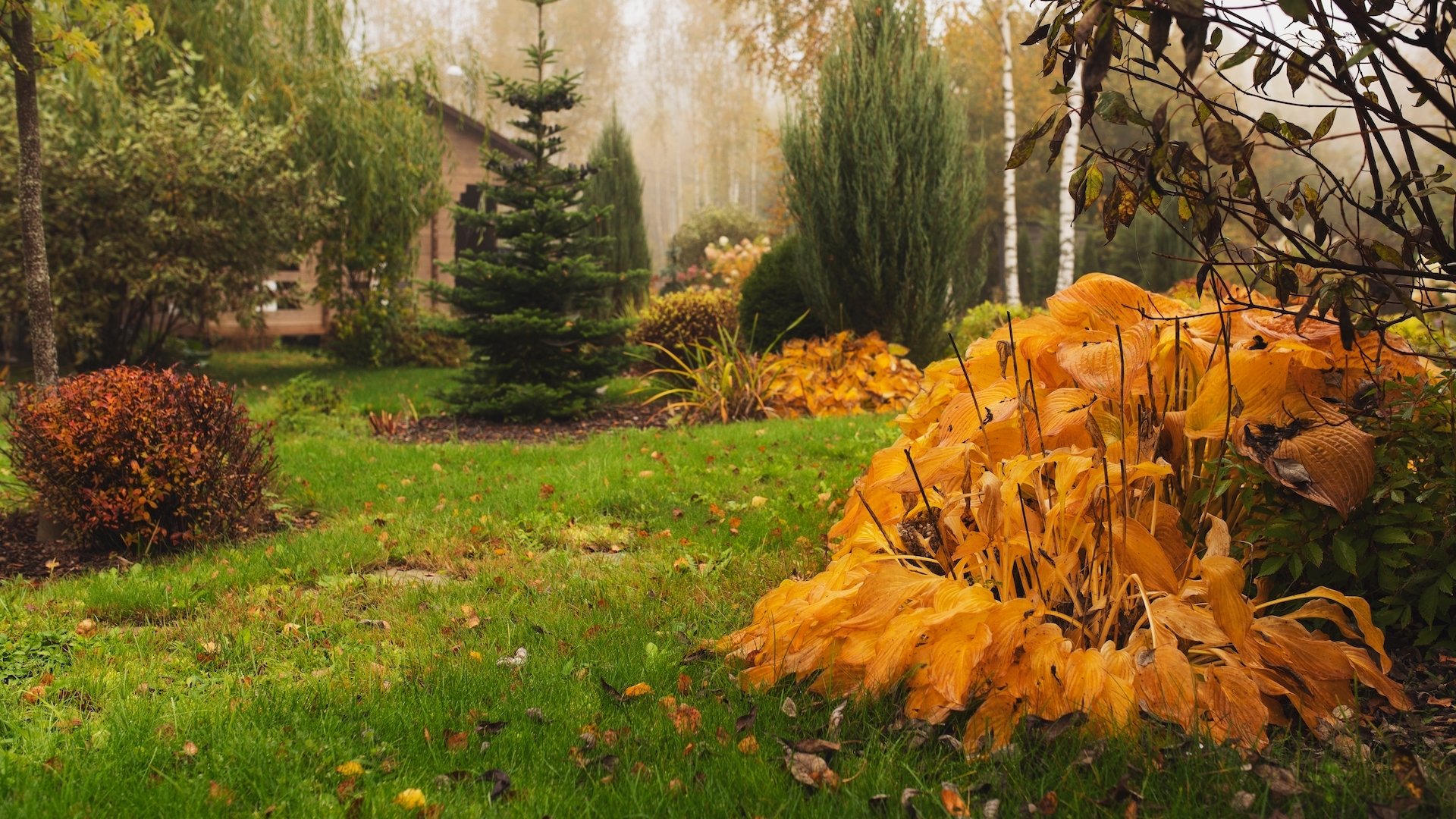 The Surprising Benefits of Skipping Fall Yard Cleanup