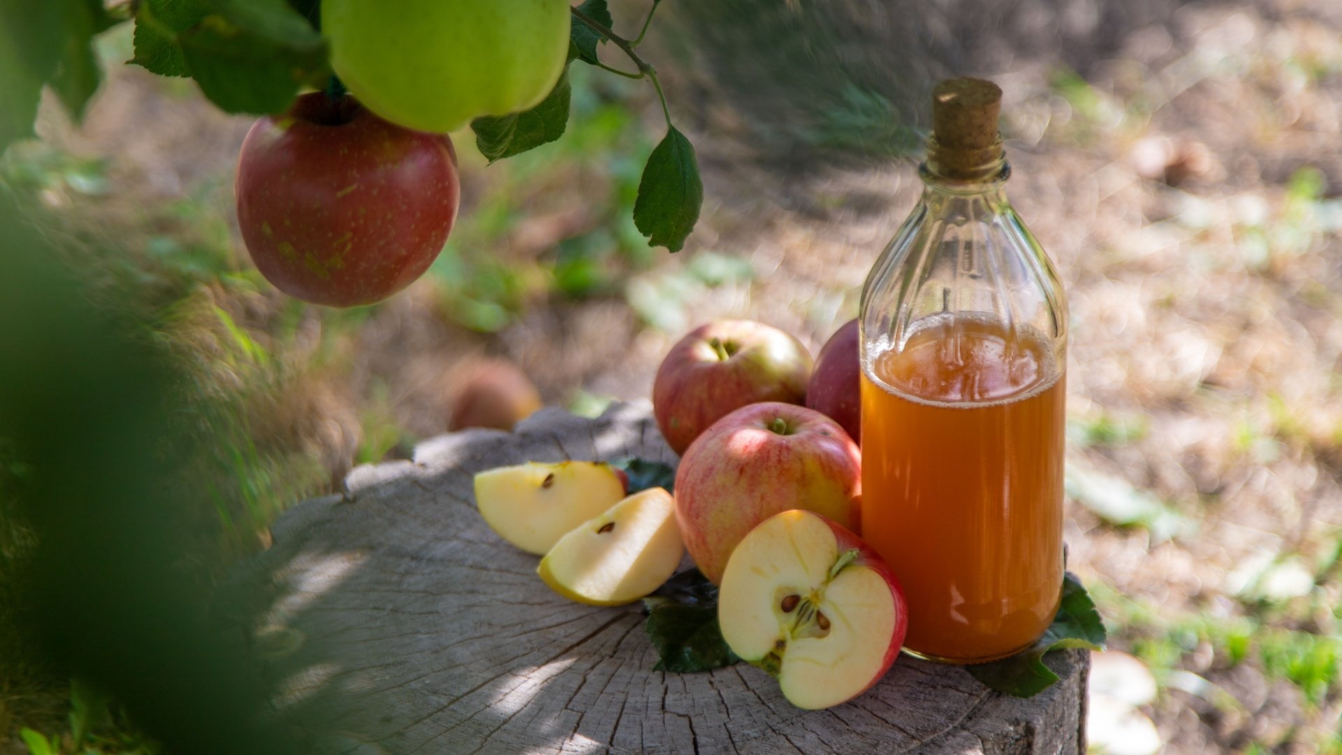 Raw Cider Is Just As Unsafe As Raw Milk