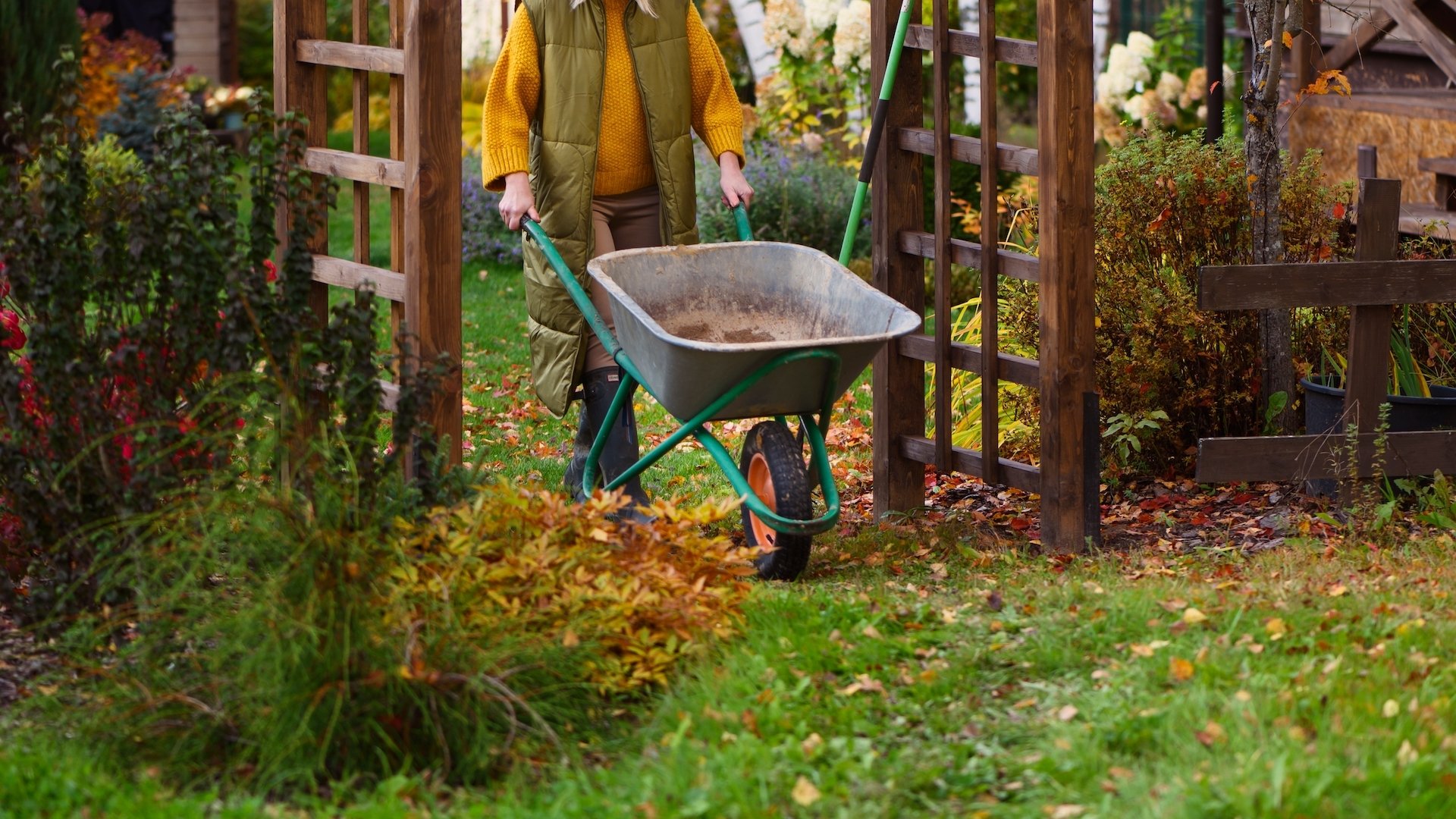 My 11 Favorite Tools for Fall Yard Clean-Up