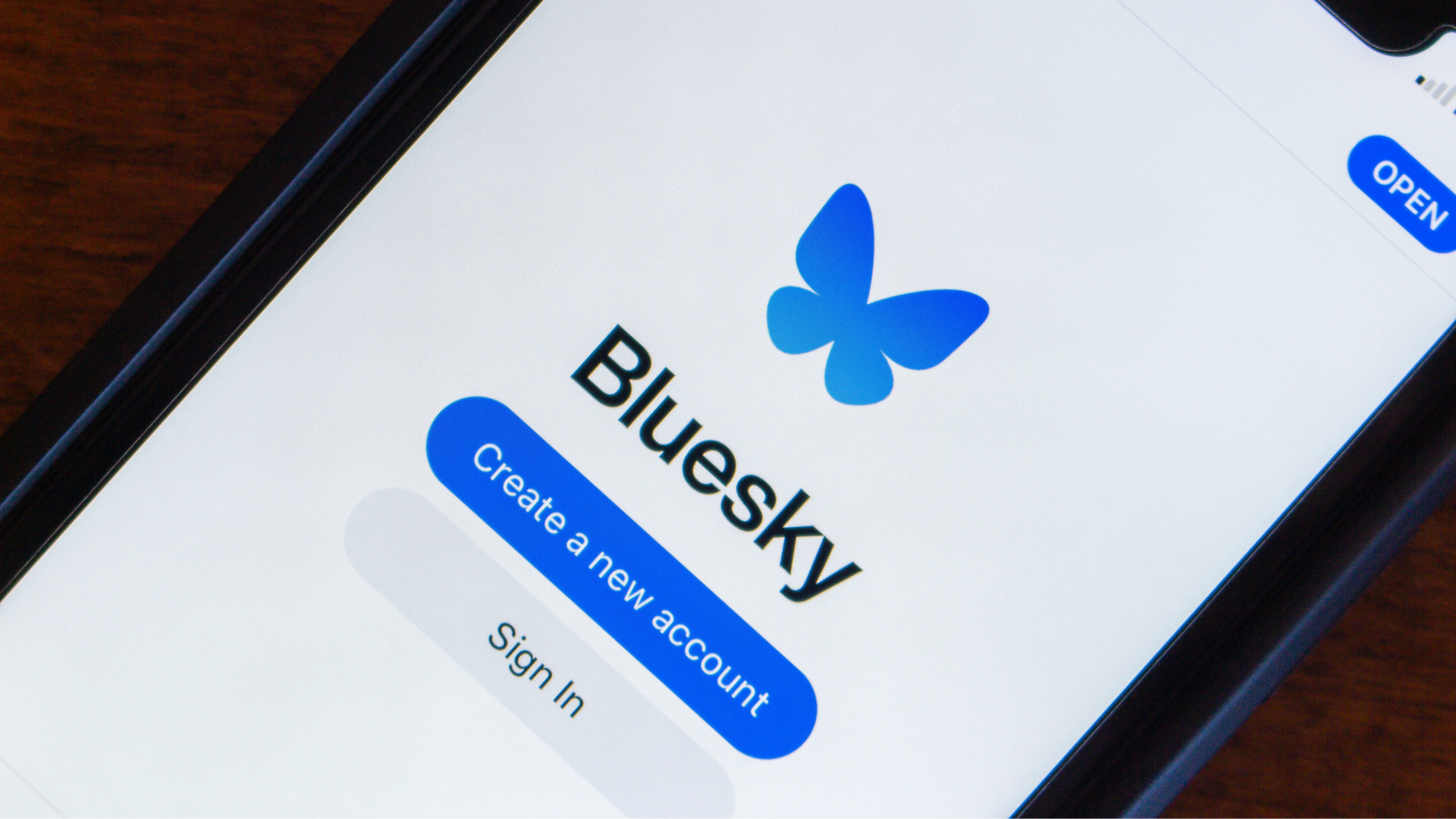 Here’s What a Paid Bluesky Subscription Might Look Like