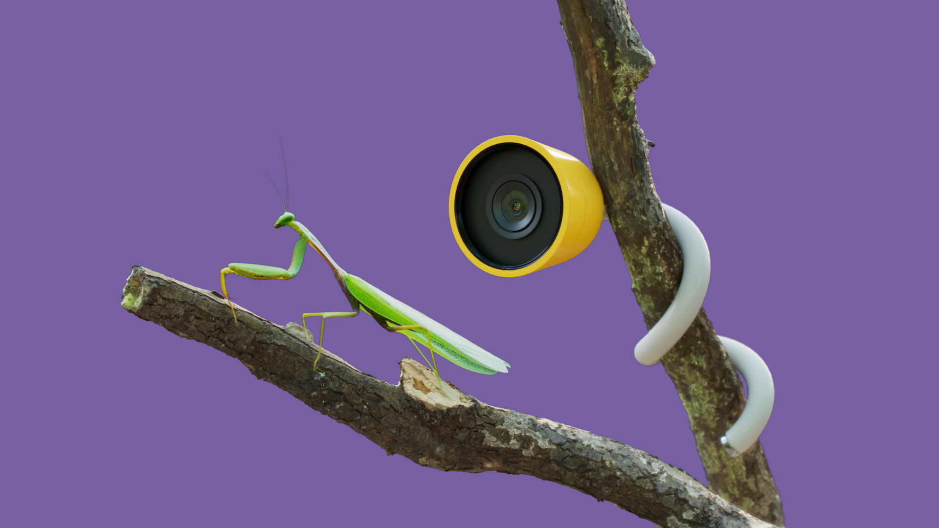 CES 2025: Bird Buddy’s New Nature Cam Will Let Your Plants Tell You What Kind of Day They Had